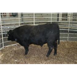 RATHBUN ALLIANCE N563