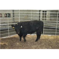 RATHBUN ALLIANCE N577