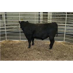 RATHBUN ALLIANCE N607