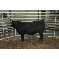 RATHBUN ALLIANCE N613