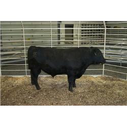 RATHBUN ALLIANCE N619