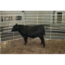 RATHBUN ALLIANCE N621