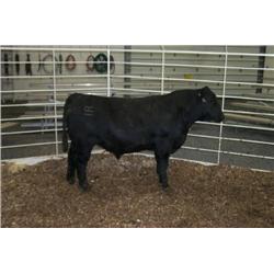 RATHBUN ALLIANCE N625