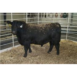 RATHBUN ALLIANCE N630