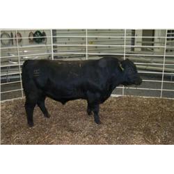 RATHBUN ALLIANCE N656