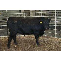 RATHBUN ALLIANCE N676