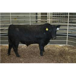 RATHBUN ALLIANCE N683