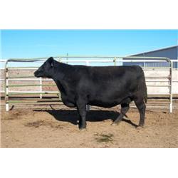 RATHBUN PAULINE J625