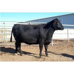 RATHBUN KATINKA J614