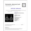 Image 3 : 18K White Gold 3.90ct Diamond Earrings