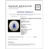 Image 4 : 18K White Gold 2.71ct Sapphire & 2.52ct Diamond Ri