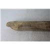 Image 2 : Driftwood