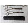 Image 2 : Hair Cutting Scissors and Comb