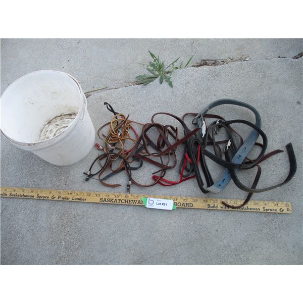 Small Pail Heater, Dog Collars, Etc. (Off-Site)