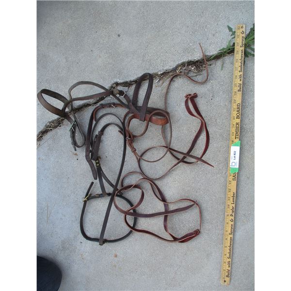 Horse Halter + Leather Items (Off-Site)