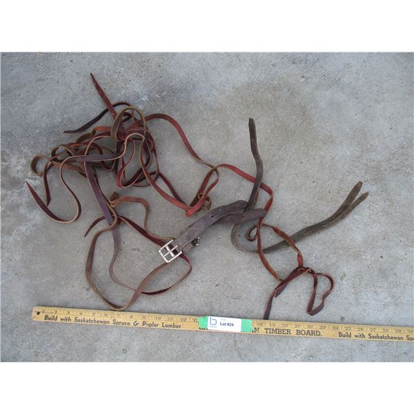 Misc. Leather Strapping -- Tack (Off-Site)