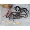 Image 1 : Hames and Harness --Single w/ Halter (Off-Site)