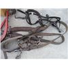 Image 3 : Hames and Harness --Single w/ Halter (Off-Site)