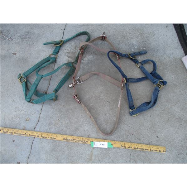 (3) Halters (Off-Site)