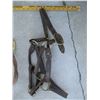 Image 2 : (2) Halters + (1) Leather (Off-Site)