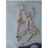 Image 3 : (2) Halters + (1) Leather (Off-Site)