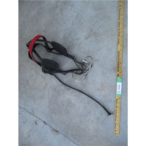 Leather Bridle (Off-Site)