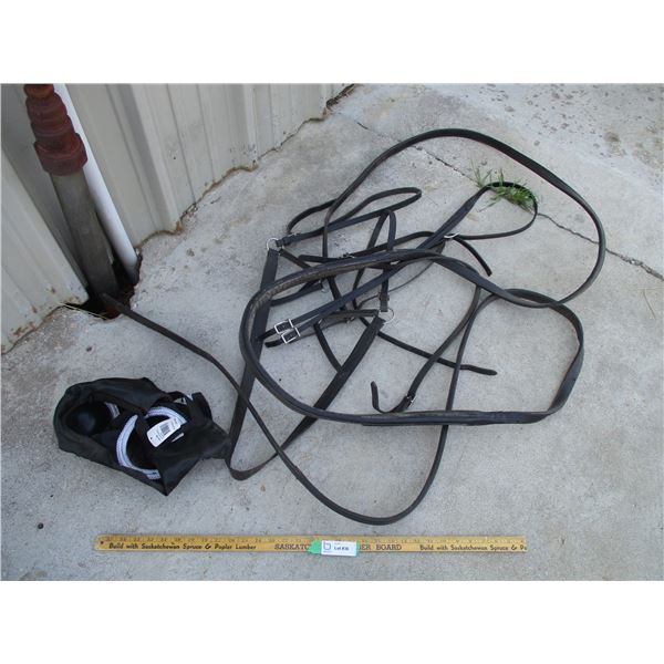 Horse Hood + Misc. Leather Items (Off-Site)