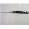 Image 2 : Stainless Steel Folding Knife- 6 inch blade