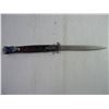 Image 5 : Stainless Steel Folding Knife- 6 inch blade