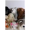 Image 3 : (15) Collectible Plush Toys (Webkinz, Ty, Misc.)