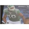 Image 4 : Saskatchewan Roughrider Jerrell Freeman Linebacker Signed Framed Photo (9 1/2" x 11 1/2")