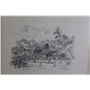 Image 2 : Orchard at Summerland Pen and Ink Art (A.R. Cooke) - 17 1/4" x 16"