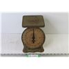 Vintage American Family Scale