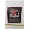 Image 1 : Framed 2005 Team Canada World Junior Champions Picture (15x18)