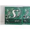 Image 2 : (2) Saskatchewan Roughrider Canvases (15" x 15")