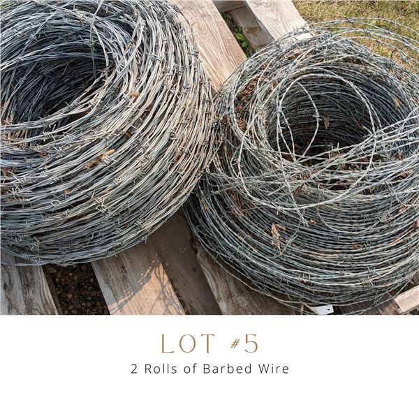 Lot 5
