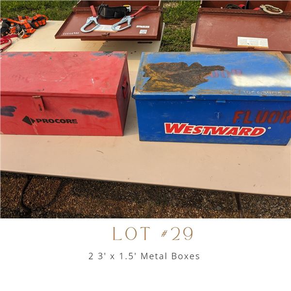 Lot 29