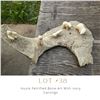 Image 1 : Lot 38