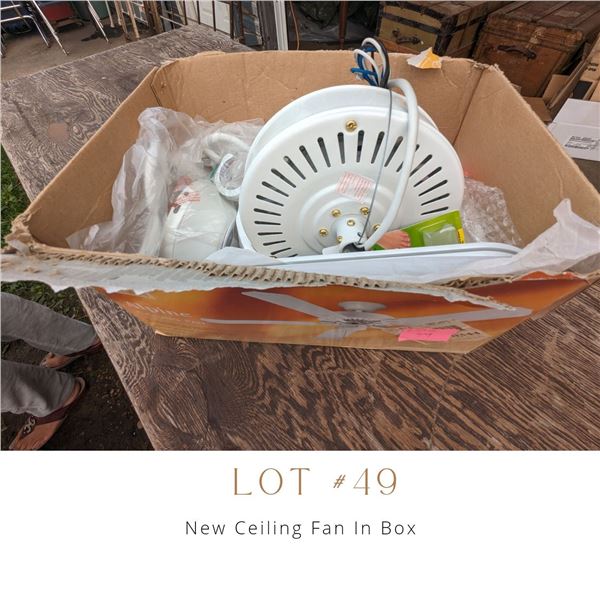 Lot 49