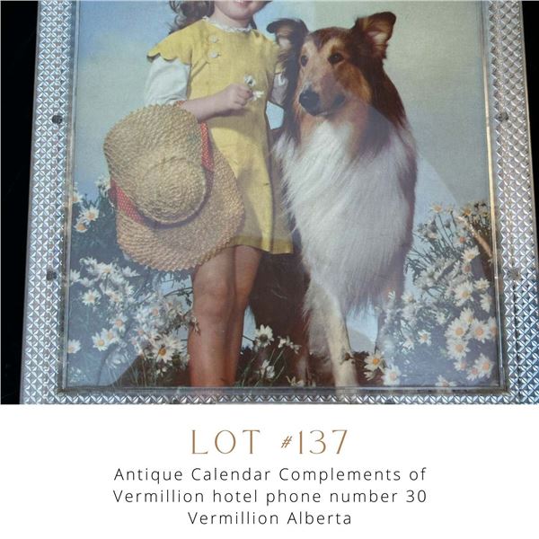 Lot 137
