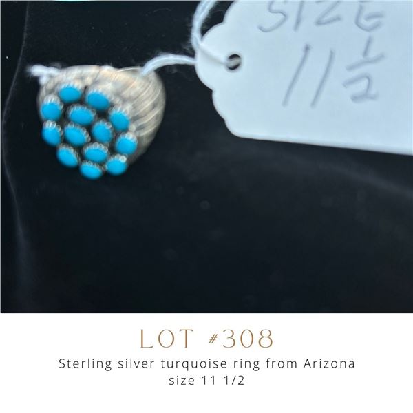 Lot 308