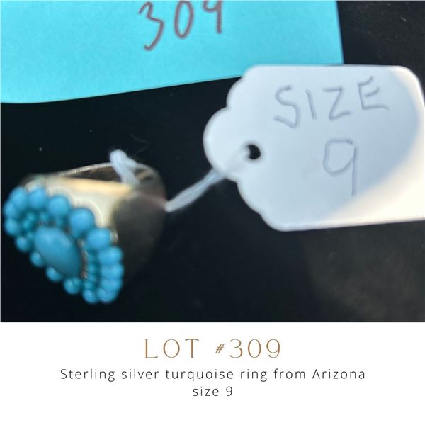 Lot 309