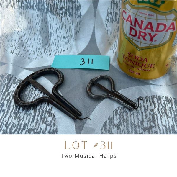 Lot 311