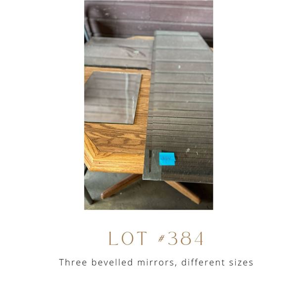 Lot 384