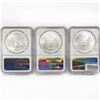 Image 2 : 2011(S) Set (3) American Silver Eagles NGC MS69