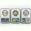 Image 2 : (3) 1963 Franklin Half Dollars NGC MS64