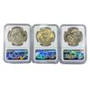 Image 2 : 1974 Set (3) Eisenhower Silver Dollars NGC MS65