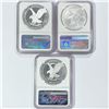 Image 2 : 2021 Set (3) A.S.E. Castle Signed NGC PF, MS