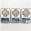 Image 2 : (3) 1934-S Peace Silver Dollars NGC VF20