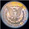 Image 2 : 1892-CC Morgan Silver Dollar Choice BU+